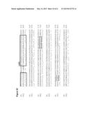 PREGNANCY-ASSOCIATED PLASMA PROTEIN-A2 (PAPP-A2) POLYNUCLEOTIDES diagram and image