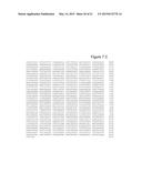 PREGNANCY-ASSOCIATED PLASMA PROTEIN-A2 (PAPP-A2) POLYNUCLEOTIDES diagram and image