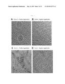 IDENTIFICATION OF ATYPICAL ANTIBODIES IN HUMAN BLOOD AND BLOOD PRODUCTS diagram and image