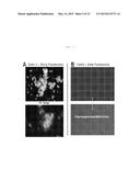 IDENTIFICATION OF ATYPICAL ANTIBODIES IN HUMAN BLOOD AND BLOOD PRODUCTS diagram and image