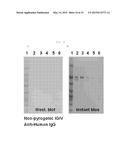 IDENTIFICATION OF ATYPICAL ANTIBODIES IN HUMAN BLOOD AND BLOOD PRODUCTS diagram and image