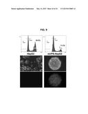 COMPOSITION FOR PRODUCING MICRORNA PRECURSORS AS DRUGS FOR ENHANCING WOUND     HEALING AND PRODUCTION METHOD OF THE MICRORNA PRECURSORS diagram and image