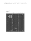 COMPOSITION FOR PRODUCING MICRORNA PRECURSORS AS DRUGS FOR ENHANCING WOUND     HEALING AND PRODUCTION METHOD OF THE MICRORNA PRECURSORS diagram and image