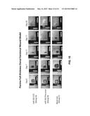 COMPOSITION FOR PRODUCING MICRORNA PRECURSORS AS DRUGS FOR ENHANCING WOUND     HEALING AND PRODUCTION METHOD OF THE MICRORNA PRECURSORS diagram and image