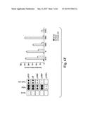 SCALABLE PRIMATE PLURIPOTENT STEM CELL AGGREGATE SUSPENSION CULTURE AND     DIFFERENTIATION THEREOF diagram and image