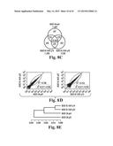 SCALABLE PRIMATE PLURIPOTENT STEM CELL AGGREGATE SUSPENSION CULTURE AND     DIFFERENTIATION THEREOF diagram and image