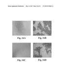 SCALABLE PRIMATE PLURIPOTENT STEM CELL AGGREGATE SUSPENSION CULTURE AND     DIFFERENTIATION THEREOF diagram and image