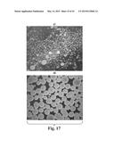 SCALABLE PRIMATE PLURIPOTENT STEM CELL AGGREGATE SUSPENSION CULTURE AND     DIFFERENTIATION THEREOF diagram and image