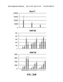 SCALABLE PRIMATE PLURIPOTENT STEM CELL AGGREGATE SUSPENSION CULTURE AND     DIFFERENTIATION THEREOF diagram and image