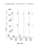 SCALABLE PRIMATE PLURIPOTENT STEM CELL AGGREGATE SUSPENSION CULTURE AND     DIFFERENTIATION THEREOF diagram and image