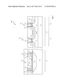 POLYSILICON DESIGN FOR REPLACEMENT GATE TECHNOLOGY diagram and image