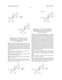 PYRROLO[1,2-f][1,2,4]TRIAZINES USEFUL FOR TREATING RESPIRATORY SYNCITIAL     VIRUS INFECTIONS diagram and image