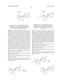 PYRROLO[1,2-f][1,2,4]TRIAZINES USEFUL FOR TREATING RESPIRATORY SYNCITIAL     VIRUS INFECTIONS diagram and image