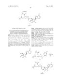 PYRROLO[1,2-f][1,2,4]TRIAZINES USEFUL FOR TREATING RESPIRATORY SYNCITIAL     VIRUS INFECTIONS diagram and image