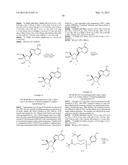 PYRROLO[1,2-f][1,2,4]TRIAZINES USEFUL FOR TREATING RESPIRATORY SYNCITIAL     VIRUS INFECTIONS diagram and image