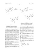 PYRROLO[1,2-f][1,2,4]TRIAZINES USEFUL FOR TREATING RESPIRATORY SYNCITIAL     VIRUS INFECTIONS diagram and image