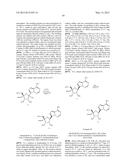 PYRROLO[1,2-f][1,2,4]TRIAZINES USEFUL FOR TREATING RESPIRATORY SYNCITIAL     VIRUS INFECTIONS diagram and image