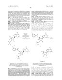 PYRROLO[1,2-f][1,2,4]TRIAZINES USEFUL FOR TREATING RESPIRATORY SYNCITIAL     VIRUS INFECTIONS diagram and image