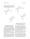 PYRROLO[1,2-f][1,2,4]TRIAZINES USEFUL FOR TREATING RESPIRATORY SYNCITIAL     VIRUS INFECTIONS diagram and image