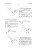 PYRROLO[1,2-f][1,2,4]TRIAZINES USEFUL FOR TREATING RESPIRATORY SYNCITIAL     VIRUS INFECTIONS diagram and image