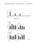 ULIPRISTAL ACETATE FOR PREVENTION AND TREATMENT OF BREAST TUMORS diagram and image