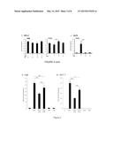 ULIPRISTAL ACETATE FOR PREVENTION AND TREATMENT OF BREAST TUMORS diagram and image