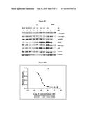 HETEROCYCLIC COMPOUNDS AND USES THEREOF diagram and image