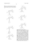 SCREENING METHOD, PROTEIN INSTABILITY AND/OR STABILITY INDUCERS, AND     PROTEIN ACTIVITY ASSESSMENT diagram and image