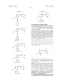 SCREENING METHOD, PROTEIN INSTABILITY AND/OR STABILITY INDUCERS, AND     PROTEIN ACTIVITY ASSESSMENT diagram and image