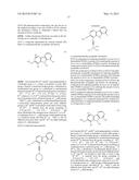 SCREENING METHOD, PROTEIN INSTABILITY AND/OR STABILITY INDUCERS, AND     PROTEIN ACTIVITY ASSESSMENT diagram and image