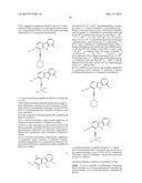 SCREENING METHOD, PROTEIN INSTABILITY AND/OR STABILITY INDUCERS, AND     PROTEIN ACTIVITY ASSESSMENT diagram and image