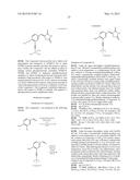 SCREENING METHOD, PROTEIN INSTABILITY AND/OR STABILITY INDUCERS, AND     PROTEIN ACTIVITY ASSESSMENT diagram and image