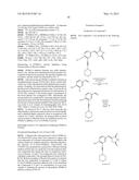 SCREENING METHOD, PROTEIN INSTABILITY AND/OR STABILITY INDUCERS, AND     PROTEIN ACTIVITY ASSESSMENT diagram and image