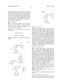 SCREENING METHOD, PROTEIN INSTABILITY AND/OR STABILITY INDUCERS, AND     PROTEIN ACTIVITY ASSESSMENT diagram and image