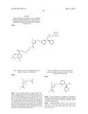 COMPOUNDS HAVING MUSCARINIC RECEPTOR ANTAGONIST AND BETA2 ADRENERGIC     RECEPTOR AGONIST ACTIVITY diagram and image