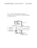 Use of Quaternary Pyridinium Salts as Vasoprotective Agents diagram and image