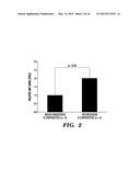 INHIBITORS OF MICRORNAs THAT REGULATE PRODUCTION OF ATRIAL NATRIURETIC     PEPTIDE (ANP) AS THERAPEUTICS AND USES THEREOF diagram and image