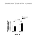 INHIBITORS OF MICRORNAs THAT REGULATE PRODUCTION OF ATRIAL NATRIURETIC     PEPTIDE (ANP) AS THERAPEUTICS AND USES THEREOF diagram and image