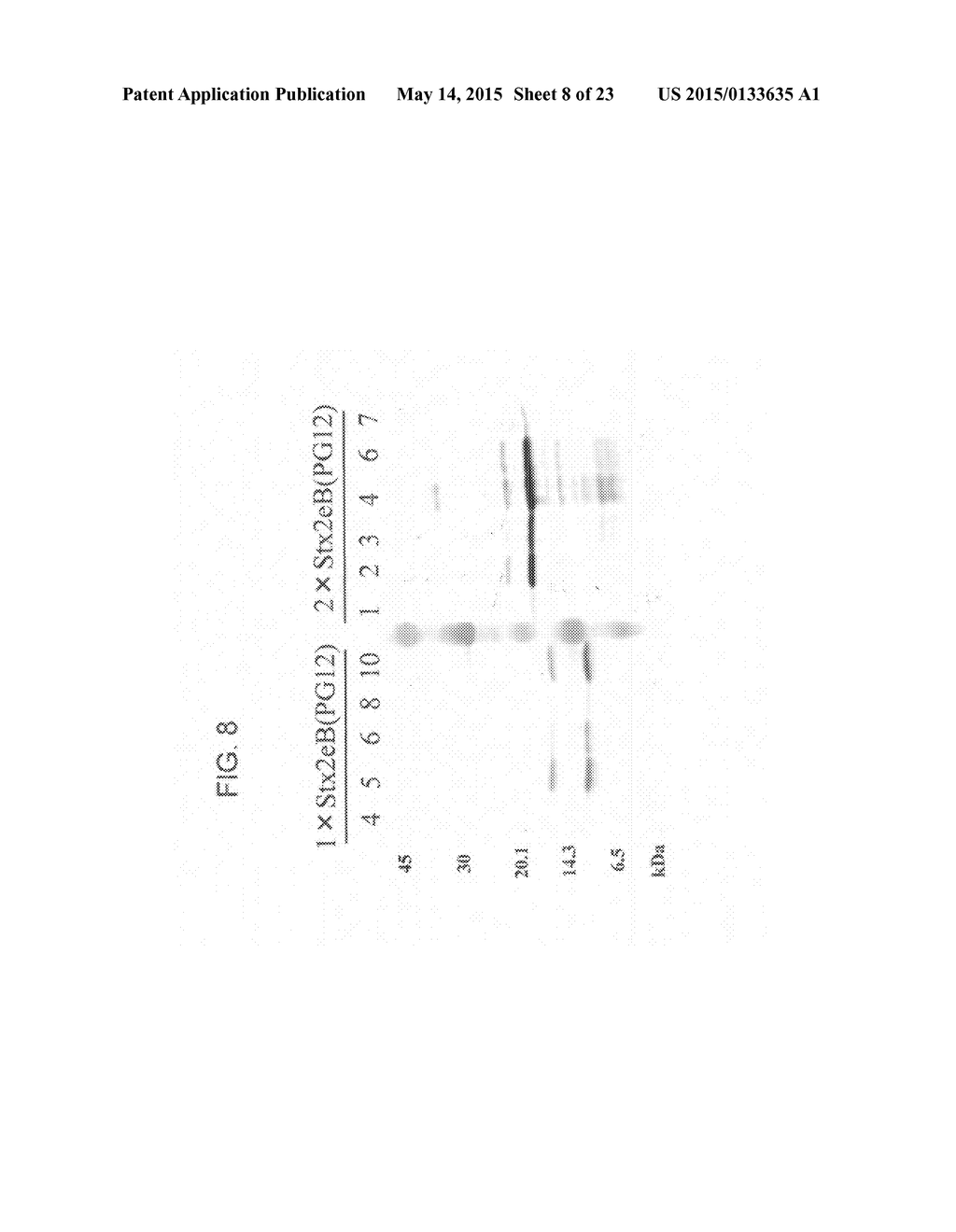 BACTERIAL TOXIN VACCINE - diagram, schematic, and image 09