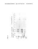 BACTERIAL TOXIN VACCINE diagram and image