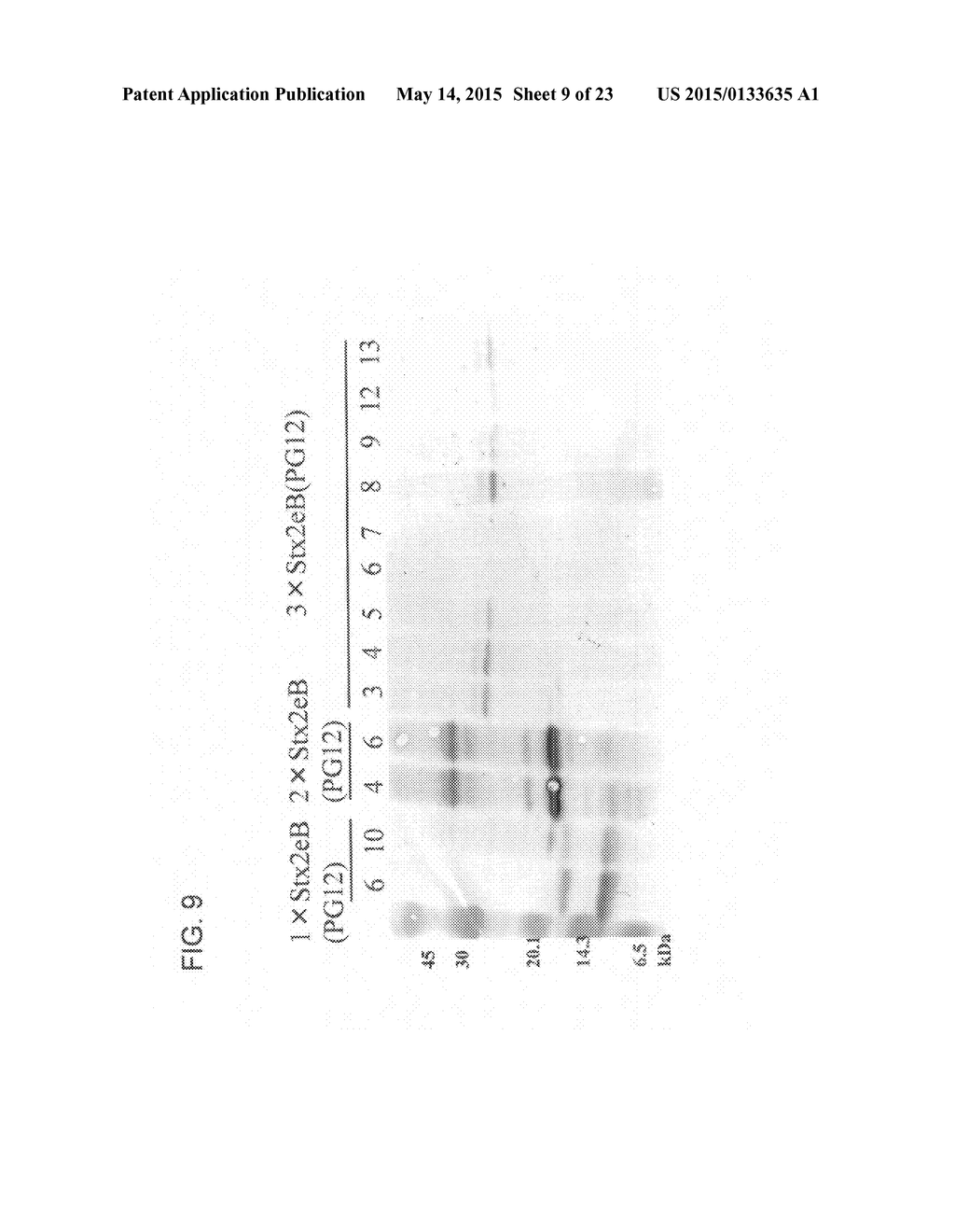 BACTERIAL TOXIN VACCINE - diagram, schematic, and image 10