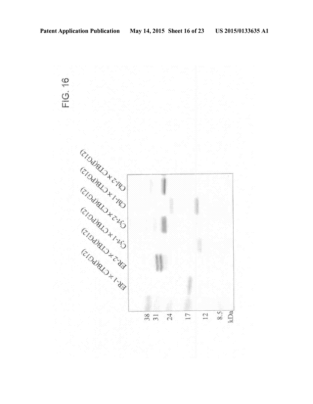 BACTERIAL TOXIN VACCINE - diagram, schematic, and image 17