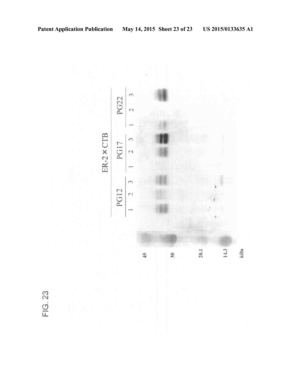 BACTERIAL TOXIN VACCINE - diagram, schematic, and image 24