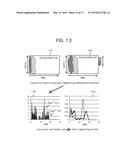 ULTRASONIC DIAGNOSTIC APPARATUS AND ELASTIC EVALUATION METHOD diagram and image