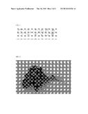 LETTUCE VARIETY 79-65 RZ diagram and image