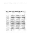 Isopentenyl Transferase Sequences and Methods of Use diagram and image