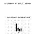 Isopentenyl Transferase Sequences and Methods of Use diagram and image