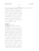 Isopentenyl Transferase Sequences and Methods of Use diagram and image