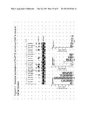 Isopentenyl Transferase Sequences and Methods of Use diagram and image