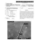 LOW-FRICTION, ABRASION RESISTANT AND EASY-TO-CLEAN COMPOSITE IRON SOLE     PLATE diagram and image